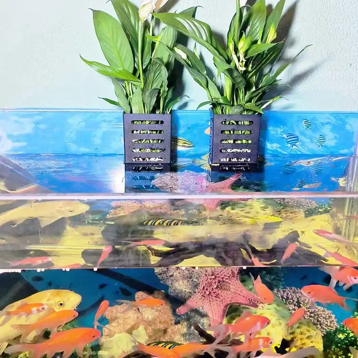 Support de plante d'aquarium en plastique