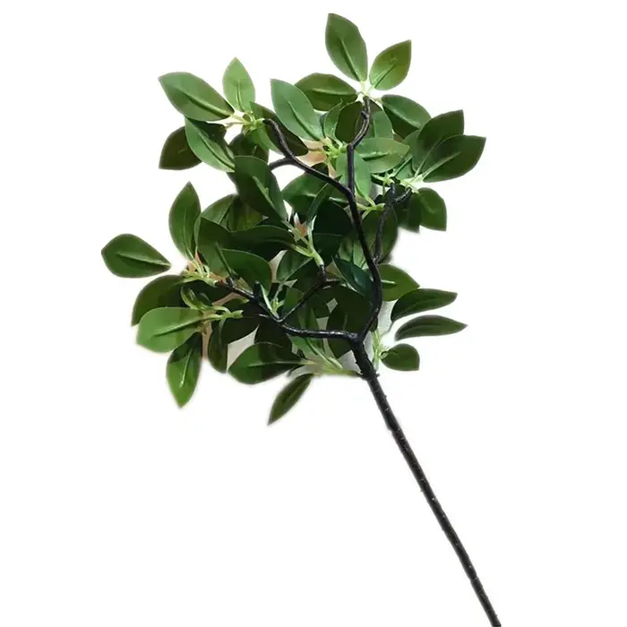 5 pièces artificielle Peperomia Sterm Tetraphylla branche d'arbre plante verte subtropicale