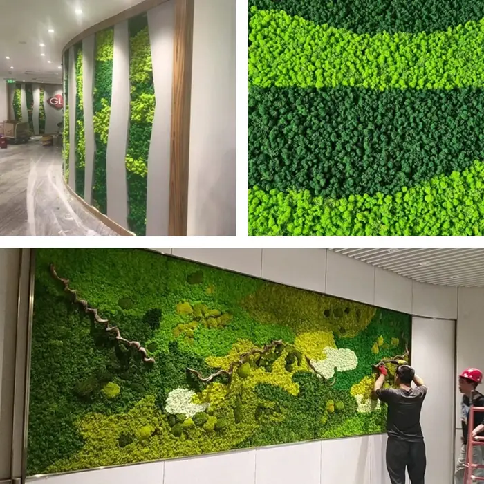 100/500/1000g pas cher HI-Q vert immortel mousse plantes d'herbe artificielle fausse fleur bricolage décor pour maison