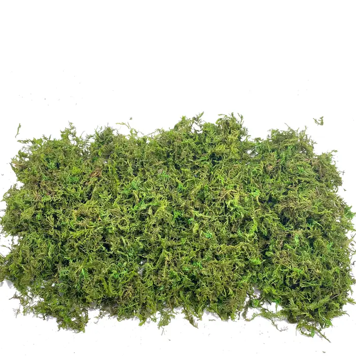 Mousse artificielle pour plantes en pot