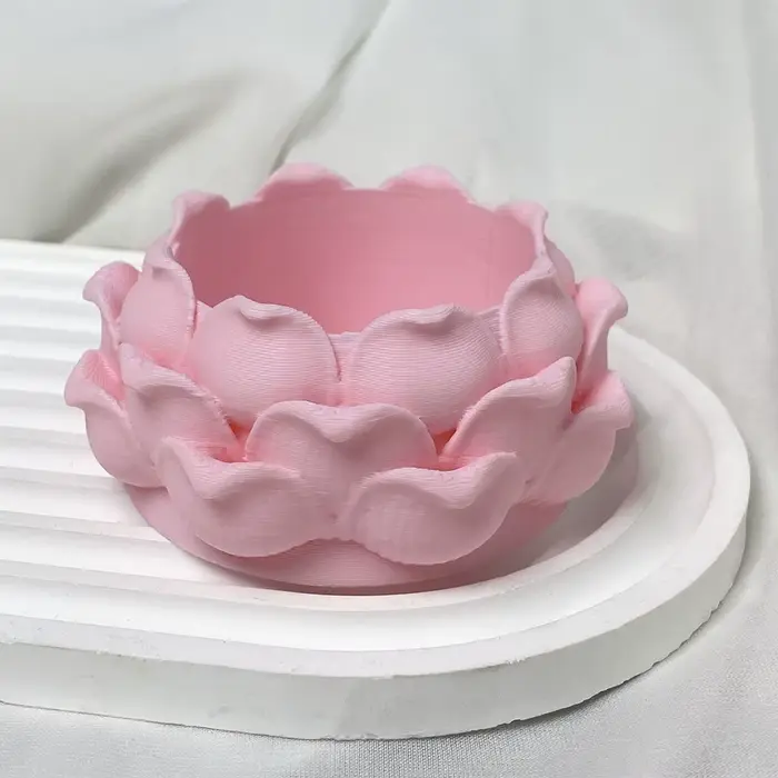 Pot de fleurs en plastique en forme de lotus pour plantes succulentes, avec trou de drainage, imprim