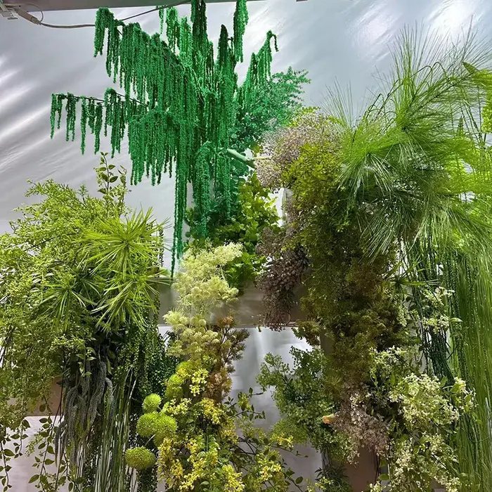 Simulation de plantes vertes
