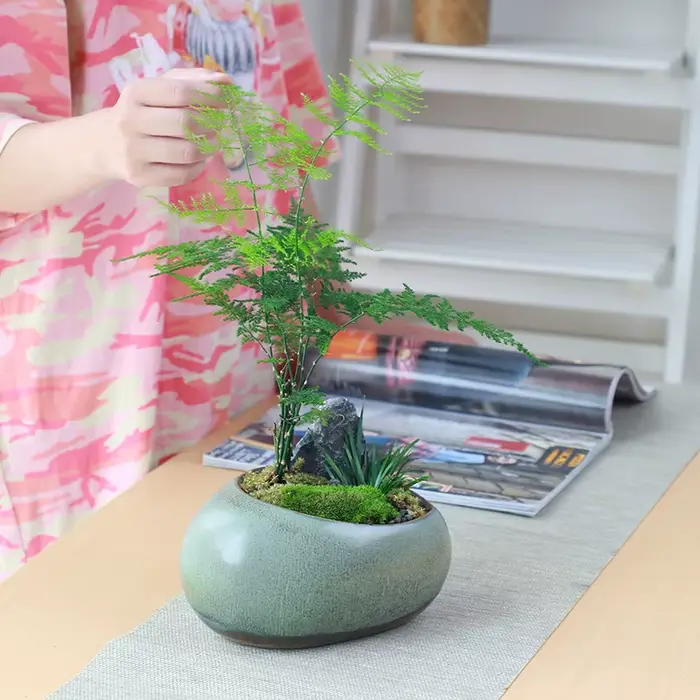 Pot de fleur en céramique rétro