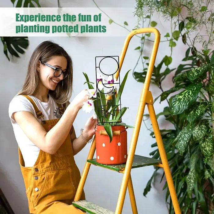 Cadre d'escalade en métal pour plantes