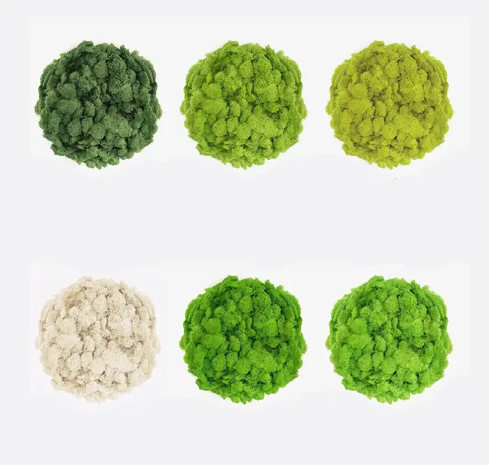20/40/60g vie éternelle mousse plantes vertes artificielles bricolage artisanat herbe Mini paysage maison salon jardin