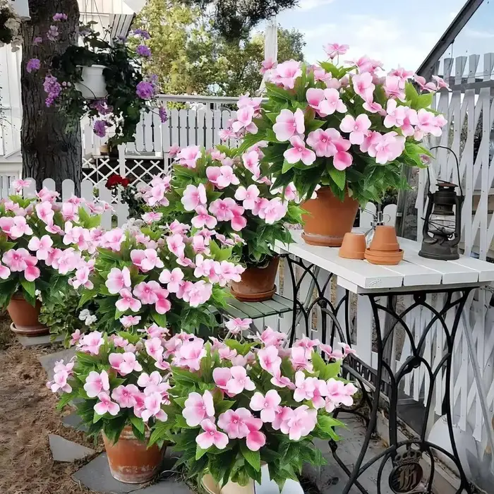 Fleurs artificielles de vinca