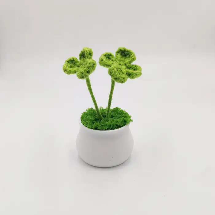 Plante en pot Everver Four scalp, ornement pour la maison, décoration de jardin et de bureau, cadeau