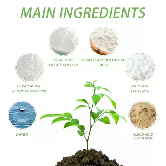 Yegbong Agent nutritif pour la croissance des plantes, engrais pour plantes en pot, pelouse, plantes à feuilles vertes, nutritif pour la croissance des racines