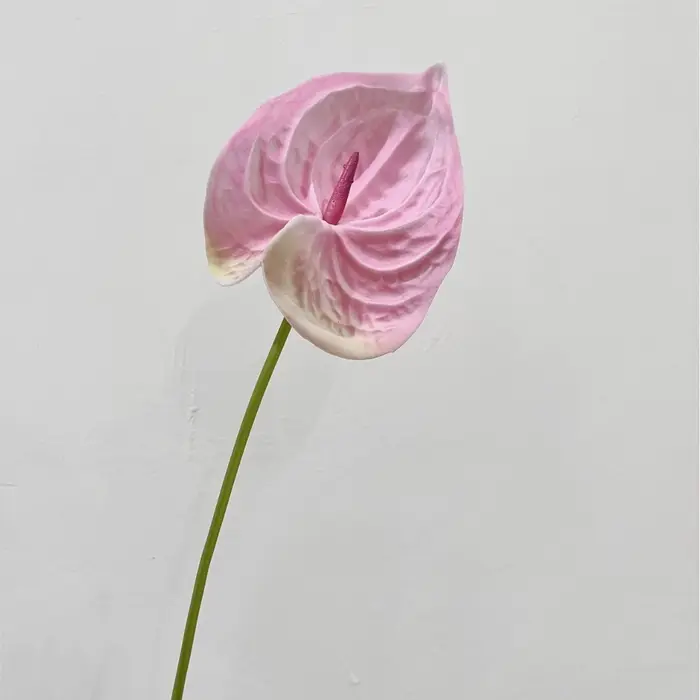 Plante artificielle Anthurium Peace Lily de haute qualité de 22,4 pouces pour la décoration murale florale de la maison, du hall d'hôtel, des expositions et des accessoires de photographie