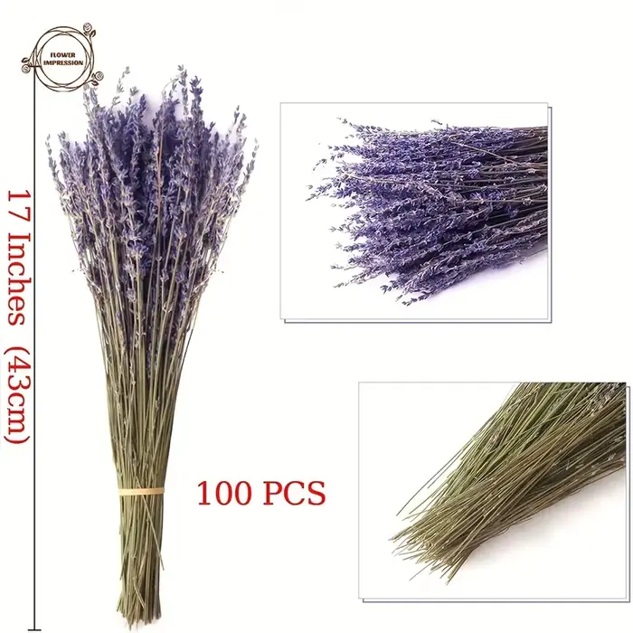Bouquets de fleurs de µséchées naturelles