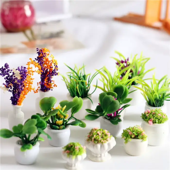 Mini plante verte en pot