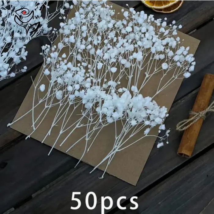 Lot de 50 mini-bouquets de fleurs séchées Gypsophile blanches