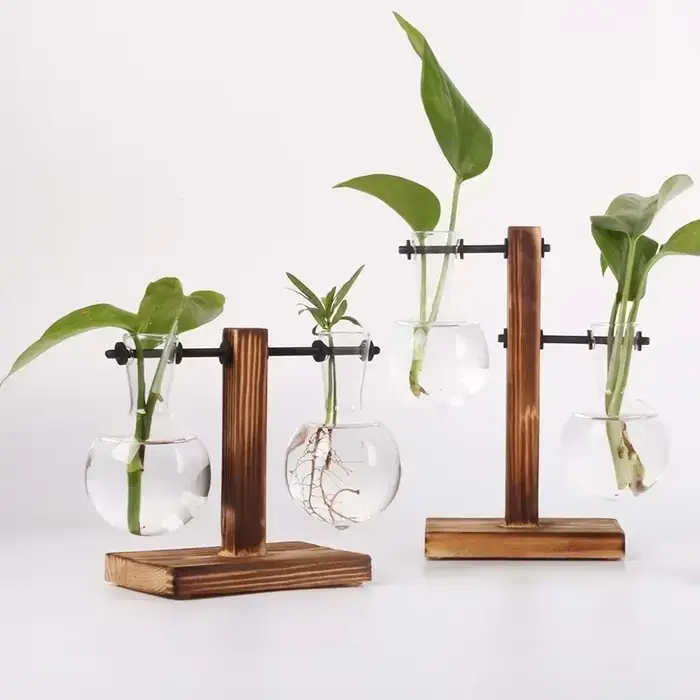 Plante hydroponique Terrarium Vasevase décoration maison bouteille en verre