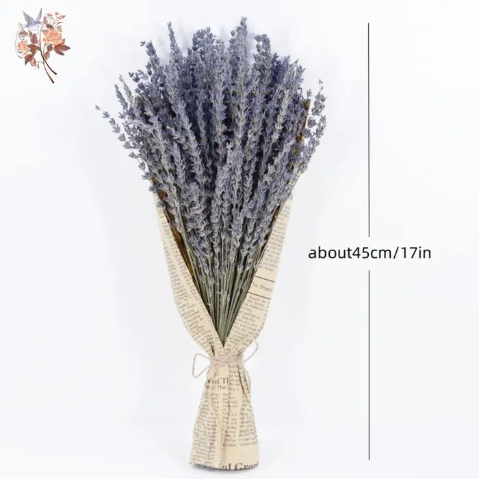 Bouquets de fleurs séchées naturelles de µpour la décoration intérieure
