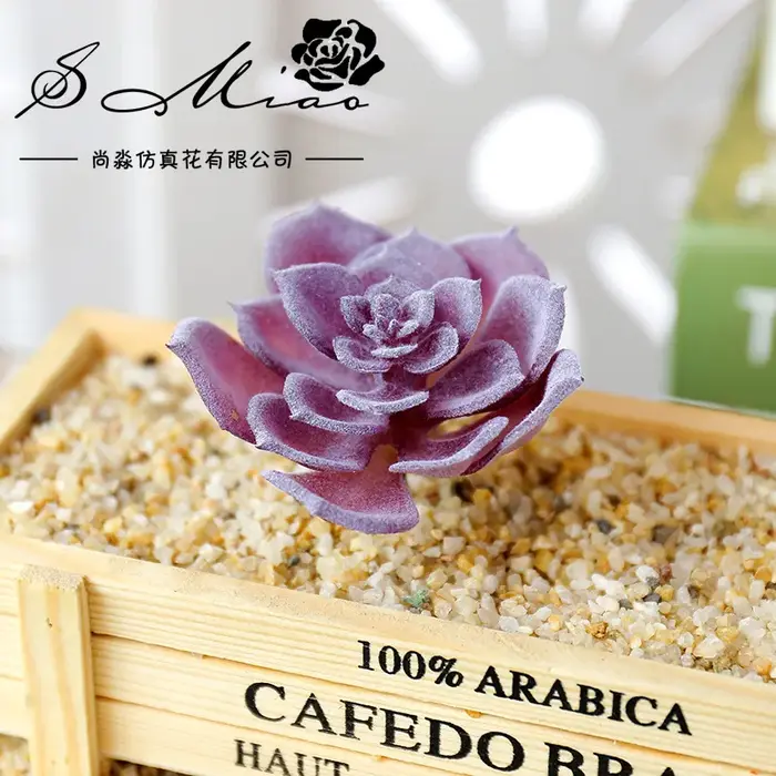 Wusmart – petites plantes succulentes artificielles Shui Lian