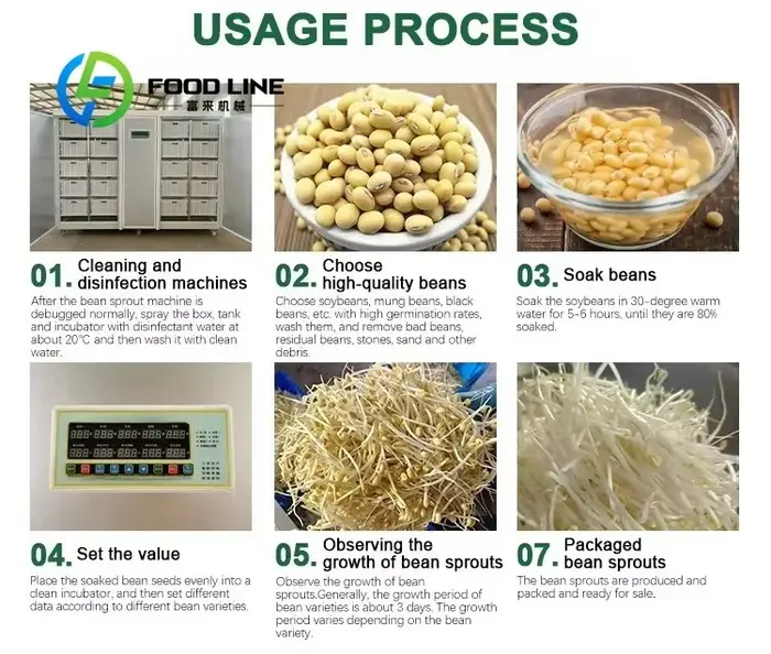 Machine de germination de haricots entièrement automatique