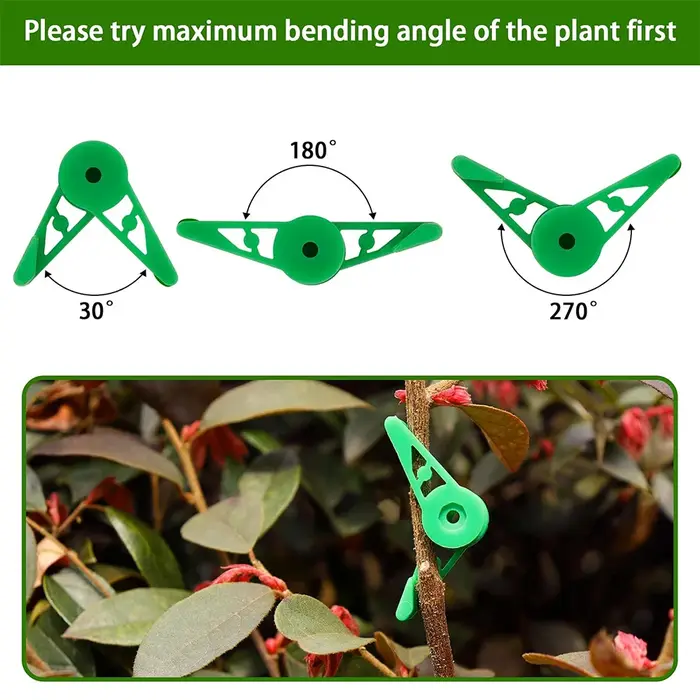 Clips d'entraînement pour cintreuse de Branches de plantes