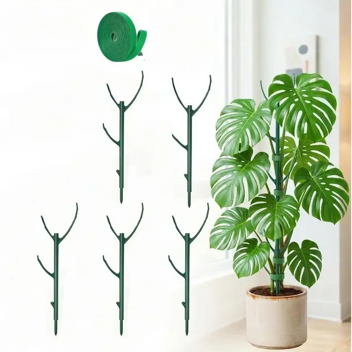 Supports pour plantes Monstera