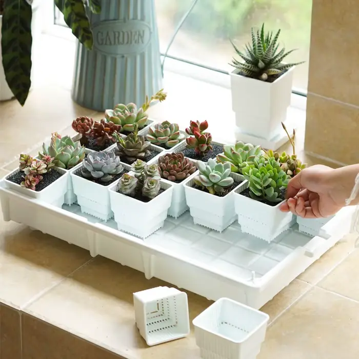 Pots succulents carrés avec bassin en escalier, jardinière de pots de fleurs, collection de vethops quantiques, décoration de la maison, 6cm