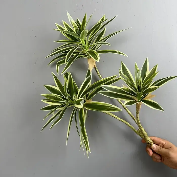 Plantes vertes artificielles