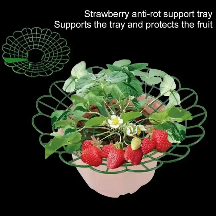 Supports pour plantes de fraises avec trois pieds robustes