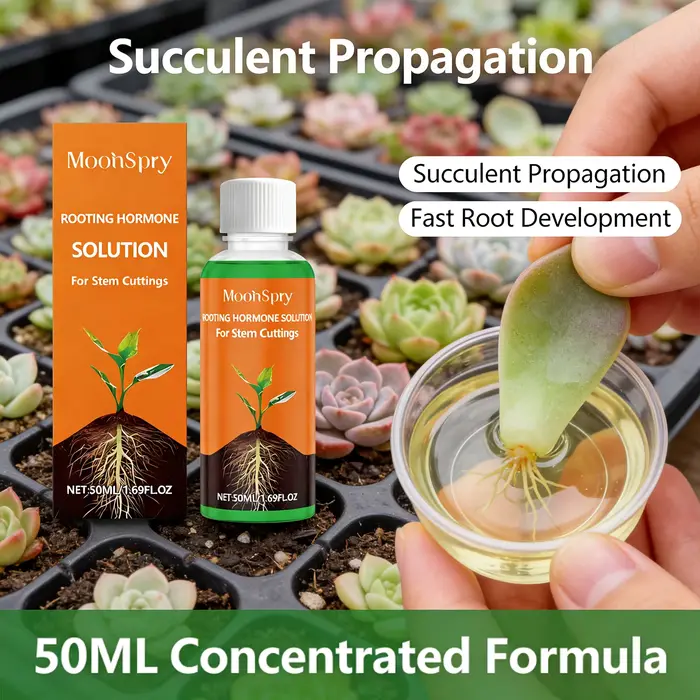 Agent d'enracinement pour plantes, favorise efficacement l'enracinement des plantes, améliore la rés