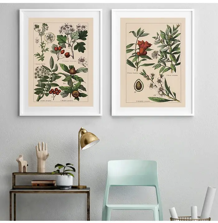 Affiches et impressions d'herbes botArabes vintage