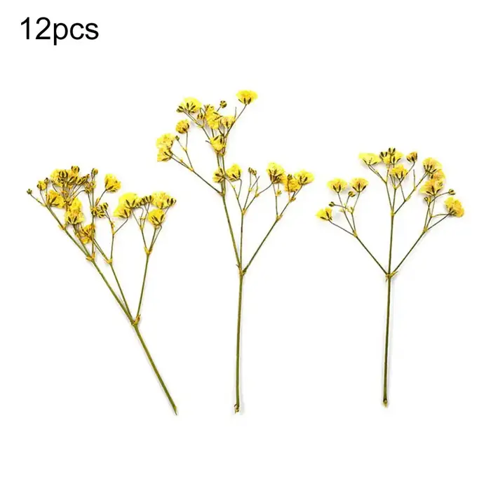 Bouquets de fleurs séchées naturelles