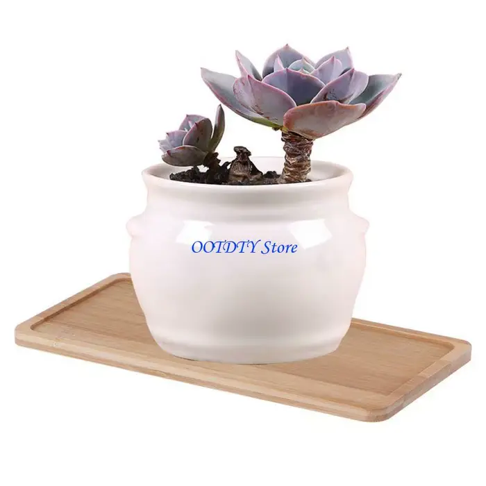 Plateau Pot fleur en bambou 367A