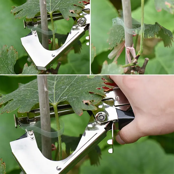 Machine à Attacher les Plantes avec 6 Rouleaux de Ruban Adhésif et 1 Boîte, Dispositif pour Légumes, Tomate, Concombre, Belle Fleur