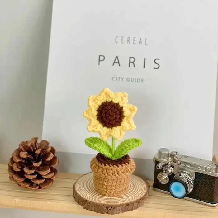 Mini fleurs en pot tissées à la main, roses de bureau, plantes ornementales en pot, fil de laine, pr