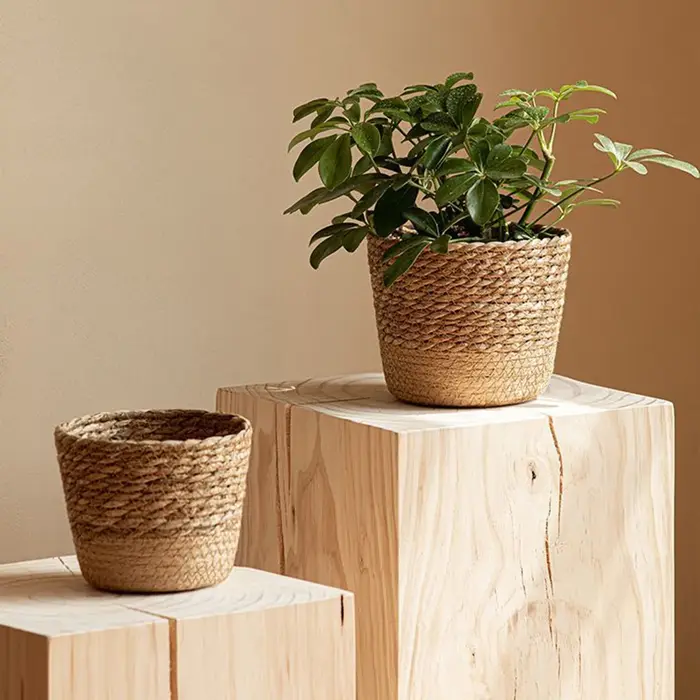 Pot de fleurs en paille tressée