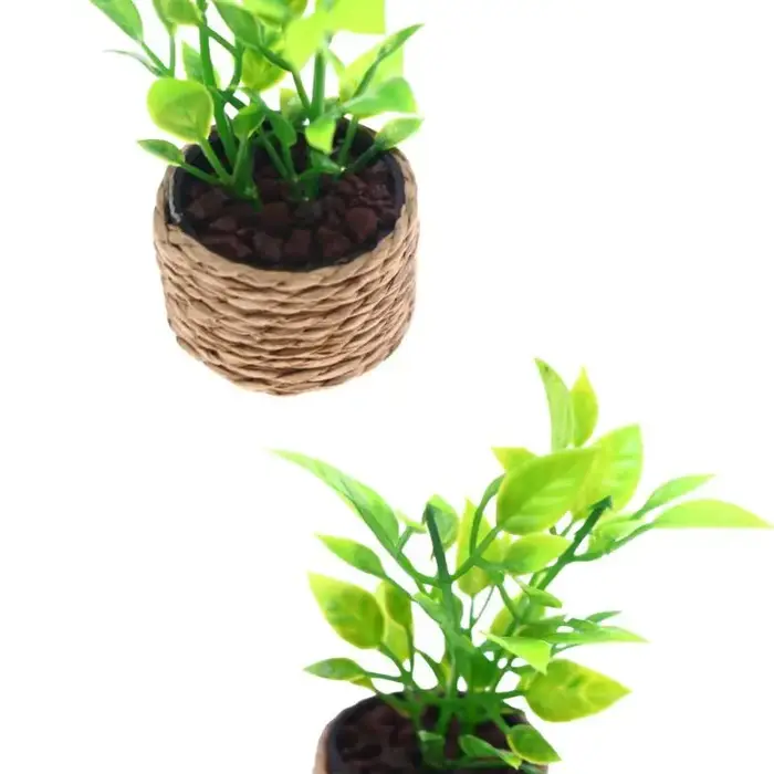 Mini arbre à oranges en pot