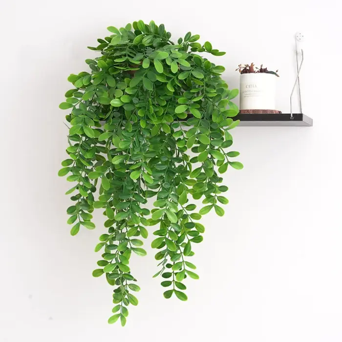 Plantes de lierre artificielles