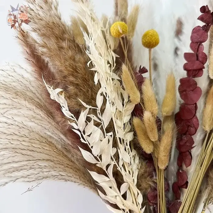 Bouquet de fleurs séchées de Pampas naturelles