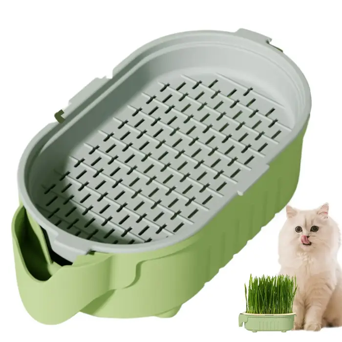 Nouveauté : Plateau de plantation pour herbe à chat en forme d'éléphant