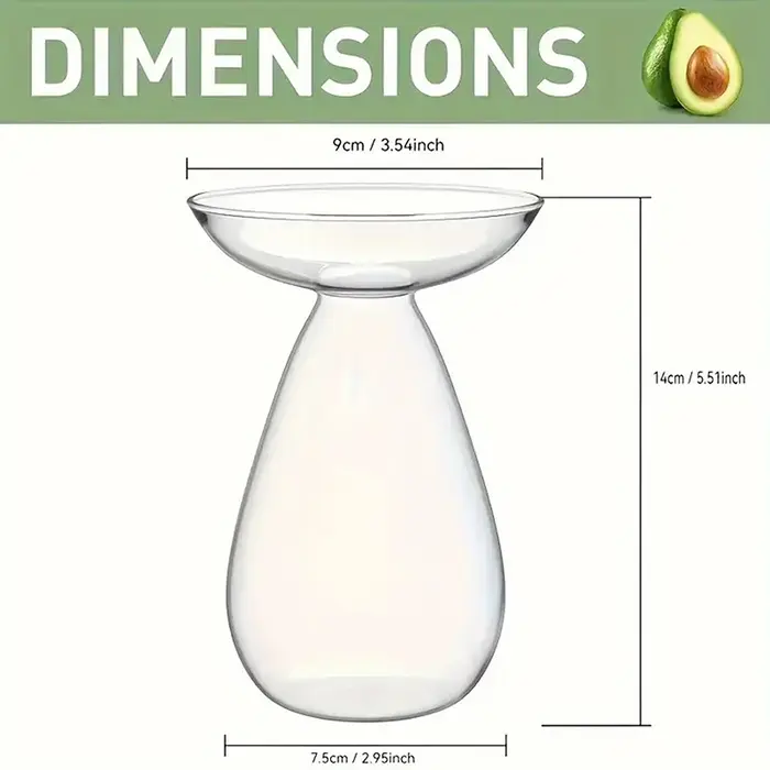 Vase hydroponique Transparent coloré d'avocat