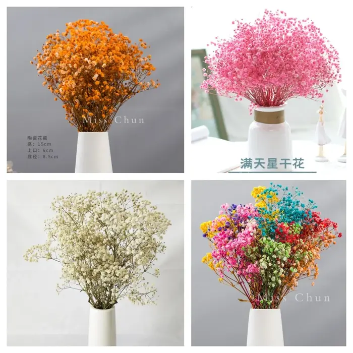 Fleurs conservées séchées fraîches naturelles