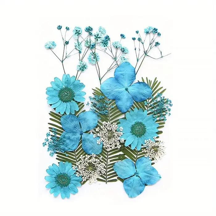 14 styles de fleurs séchées DIY, élégantes et magnifiques, fleurs artificielles de mignonnonneux, décoration créative simple de fleurs pressées