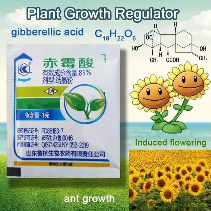 Régulateur de croissance des plantes, 2 sacs, concentré d'acide gibberellique 920, pour pause du sommeil, engrais, augmente la Production pour la maison, le jardin, bonsaï