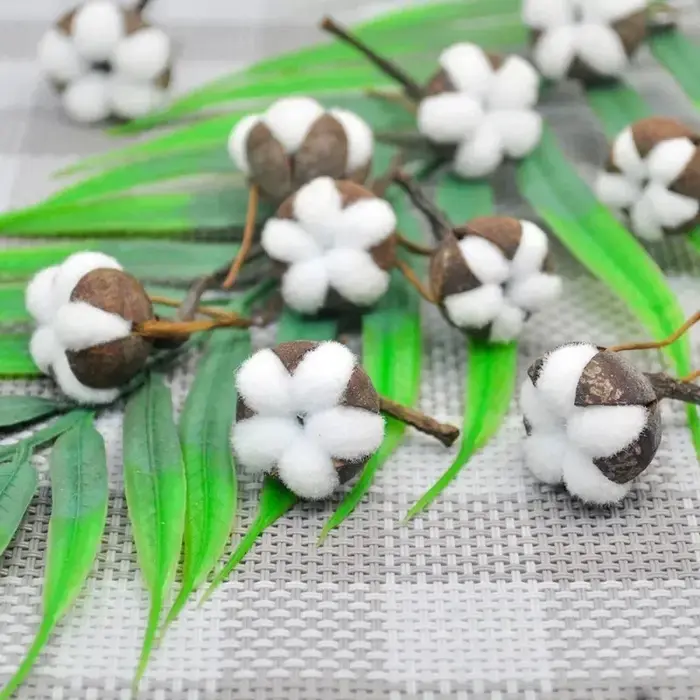 Fleurs naturelles séchées en coton Él