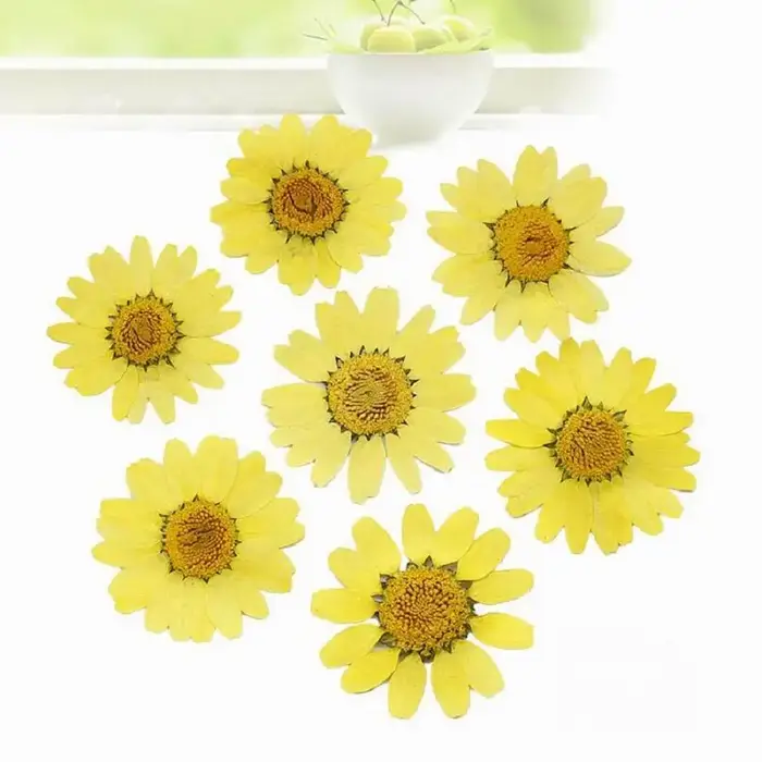 PMurcia-Fleurs séchées à la presse