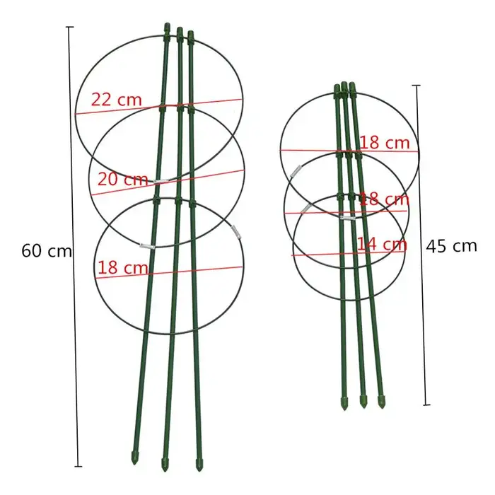Support de plantes grimpantes