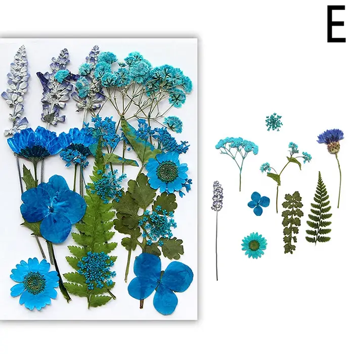 Fleurs séchées véritable plante naturelle pressée fleur pour résine époxy remplissage bricolage Nail Art artisanat