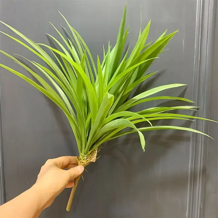 Plante artificielle en plastique pour la décoration murale de la maison