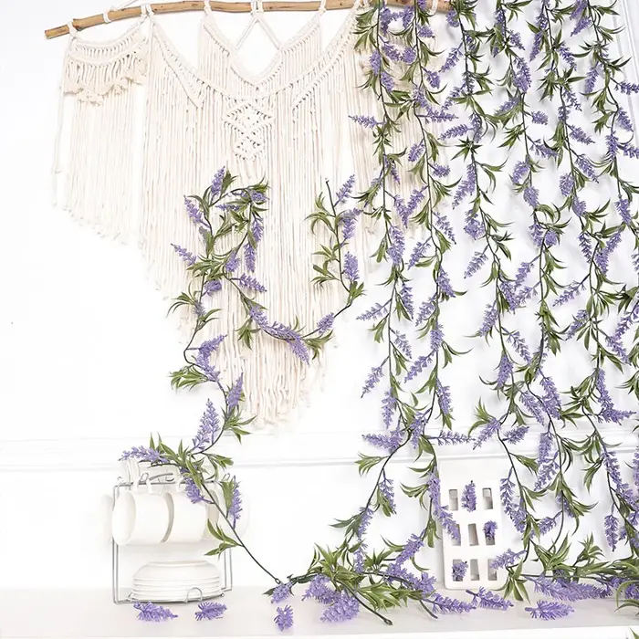 Plante de décoration pour la maison