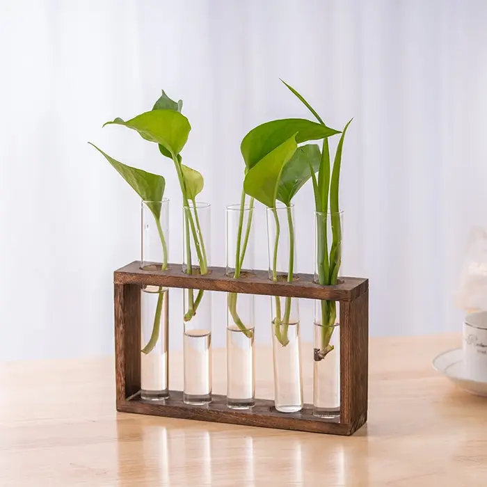 Conteneur de plantes hydroponiques avec cadre en bois