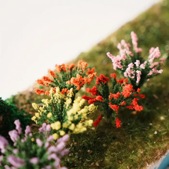 5 Pièces de Arbustes Miniatures Colorés
