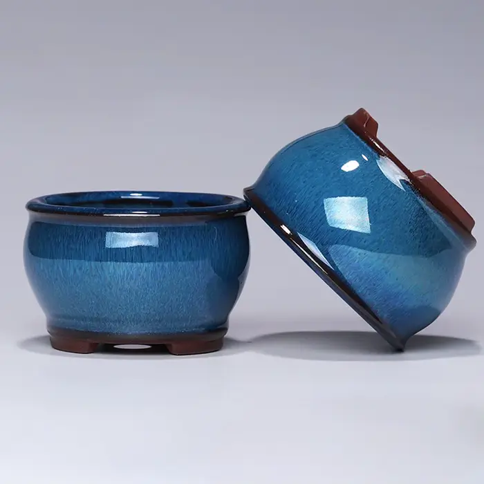 Pot de fleur succulente en céramique