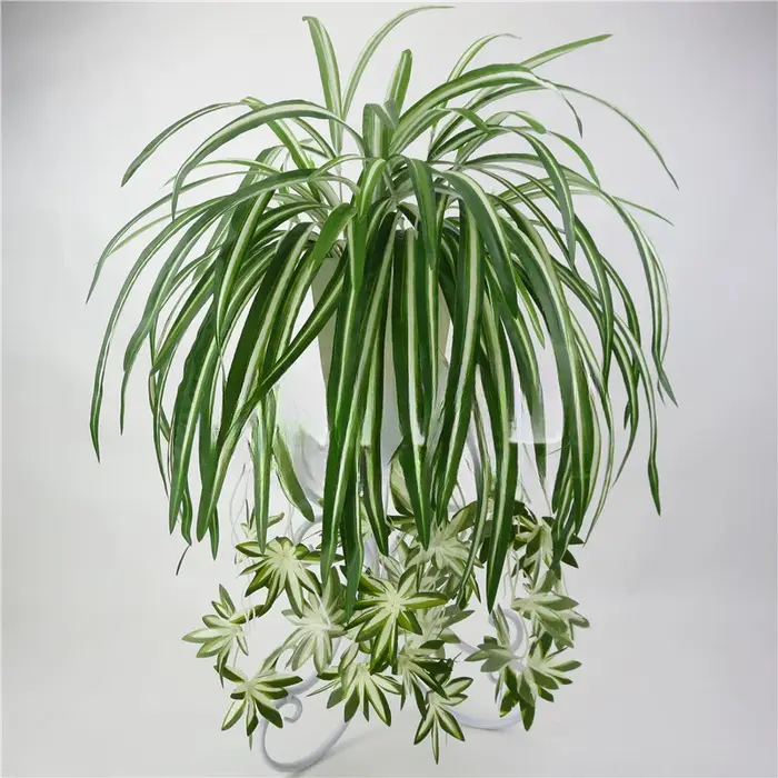 Plantes artificielles murales suspendues Chlorophytum